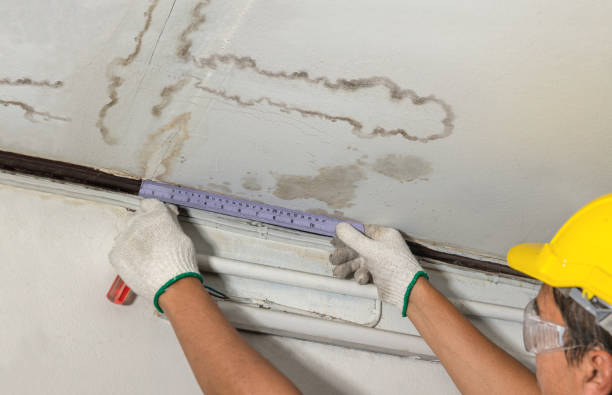 Reliable Mold Remediation contractor in Carrollton, OH by Water Damage Irwin